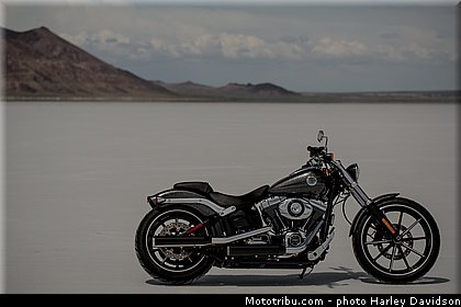 hard_candy_custom_001_harley_davidson_2014.jpg