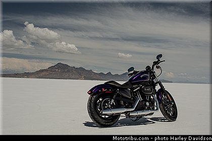 hard_candy_custom_003_harley_davidson_2014.jpg
