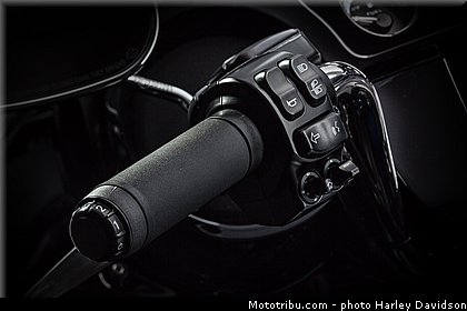 projet_rushmore_004_harley_davidson_2014.jpg