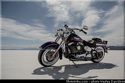 softail_deluxe_001_harley_davidson_2014.jpg