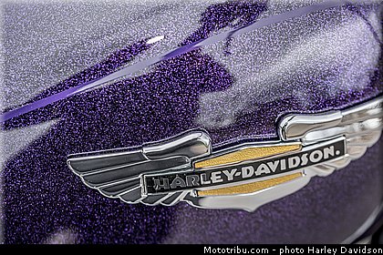 softail_deluxe_009_harley_davidson_2014.jpg