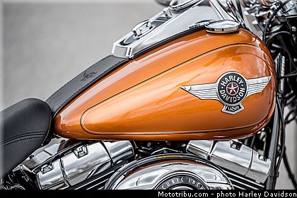 softail_fat_boy_005_harley_davidson_2014.jpg