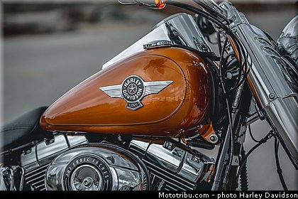 softail_fat_boy_006_harley_davidson_2014.jpg