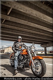 softail_fat_boy_007_harley_davidson_2014.jpg