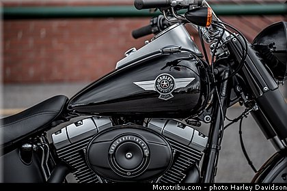 softail_fat_boy_special_006_harley_davidson_2014.jpg