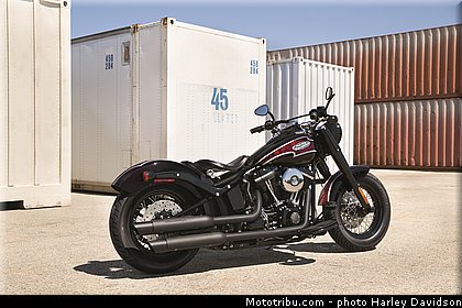 softail_slim_004_harley_davidson_2014.jpg