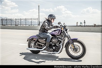 sportster_iron_883_001_harley_davidson_2014.jpg
