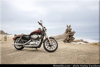 sportster_superlow_001_harley_davidson_2014.jpg