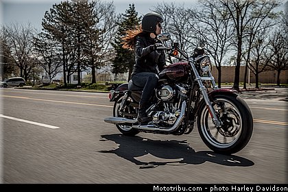 sportster_superlow_004_harley_davidson_2014.jpg