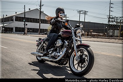 sportster_superlow_005_harley_davidson_2014.jpg