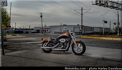 sportster_xl_1200_ca_custom_limited_001_harley_davidson_2014.jpg
