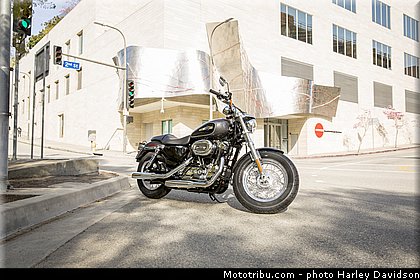 sportster_xl_1200_custom_001_harley_davidson_2014.jpg