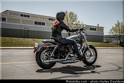 sportster_xl_1200_custom_004_harley_davidson_2014.jpg