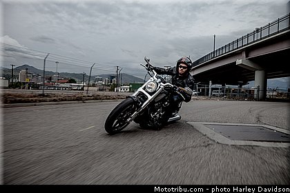 v_rod_muscle_001_harley_davidson_2014.jpg