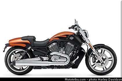 v_rod_muscle_002_harley_davidson_2014.jpg