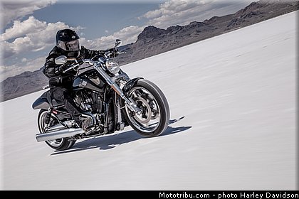 v_rod_muscle_004_harley_davidson_2014.jpg