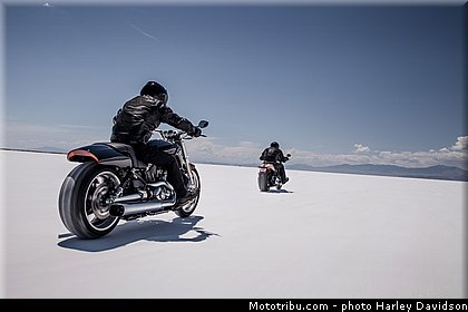 v_rod_muscle_005_harley_davidson_2014.jpg