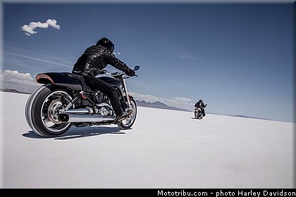 v_rod_muscle_006_harley_davidson_2014.jpg