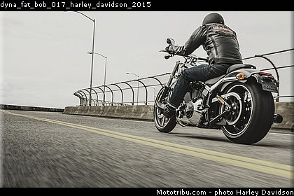 dyna_fat_bob_017_harley_davidson_2015.jpg