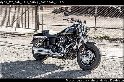 dyna_fat_bob_018_harley_davidson_2015.jpg