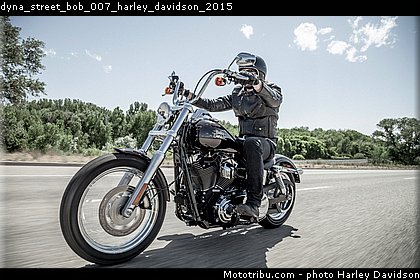 dyna_street_bob_007_harley_davidson_2015.jpg