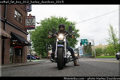 softail_fat_boy_012_harley_davidson_2015.jpg