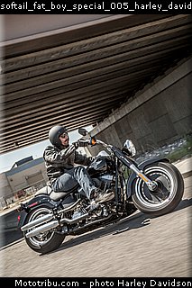 softail_fat_boy_special_005_harley_davidson_2015.jpg