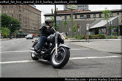 softail_fat_boy_special_013_harley_davidson_2015.jpg