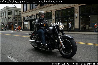 softail_fat_boy_special_014_harley_davidson_2015.jpg