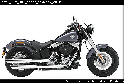 softail_slim_001_harley_davidson_2015.jpg