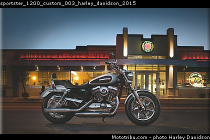 sportster_1200_custom_003_harley_davidson_2015.jpg