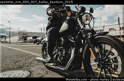 sportster_iron_883_007_harley_davidson_2015.jpg