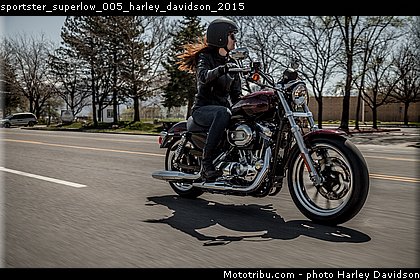 sportster_superlow_005_harley_davidson_2015.jpg