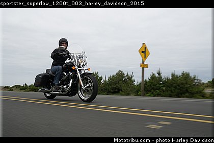 sportster_superlow_1200t_003_harley_davidson_2015.jpg