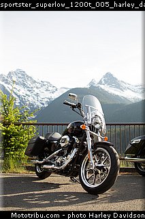 sportster_superlow_1200t_005_harley_davidson_2015.jpg