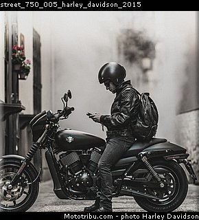 street_750_005_harley_davidson_2015.jpg