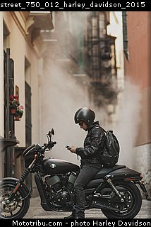 street_750_012_harley_davidson_2015.jpg