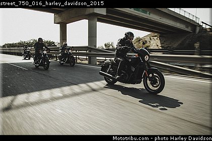 street_750_016_harley_davidson_2015.jpg