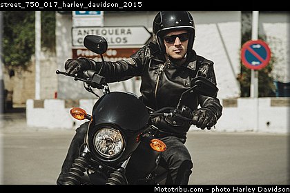 street_750_017_harley_davidson_2015.jpg