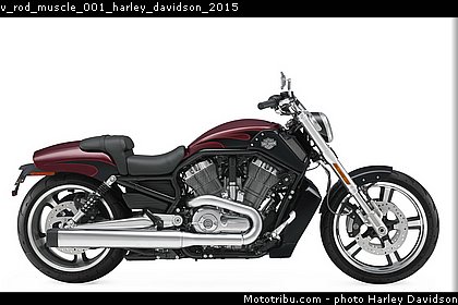 v_rod_muscle_001_harley_davidson_2015.jpg