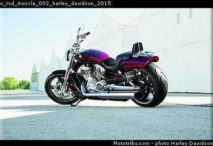 v_rod_muscle_002_harley_davidson_2015.jpg