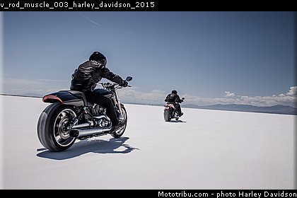 v_rod_muscle_003_harley_davidson_2015.jpg