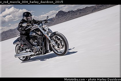 v_rod_muscle_004_harley_davidson_2015.jpg