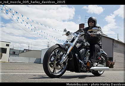 v_rod_muscle_005_harley_davidson_2015.jpg