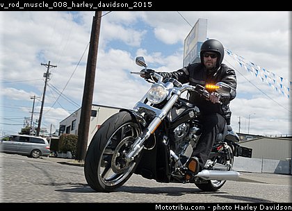 v_rod_muscle_008_harley_davidson_2015.jpg