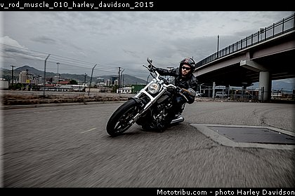 v_rod_muscle_010_harley_davidson_2015.jpg