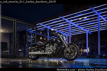v_rod_muscle_011_harley_davidson_2015.jpg