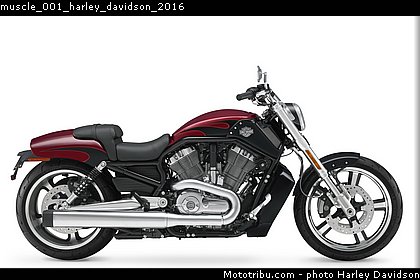 muscle_001_harley_davidson_2016.jpg