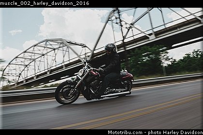 muscle_002_harley_davidson_2016.jpg