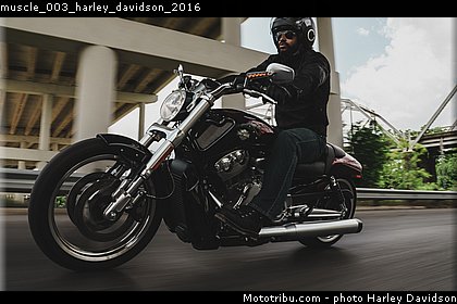 muscle_003_harley_davidson_2016.jpg
